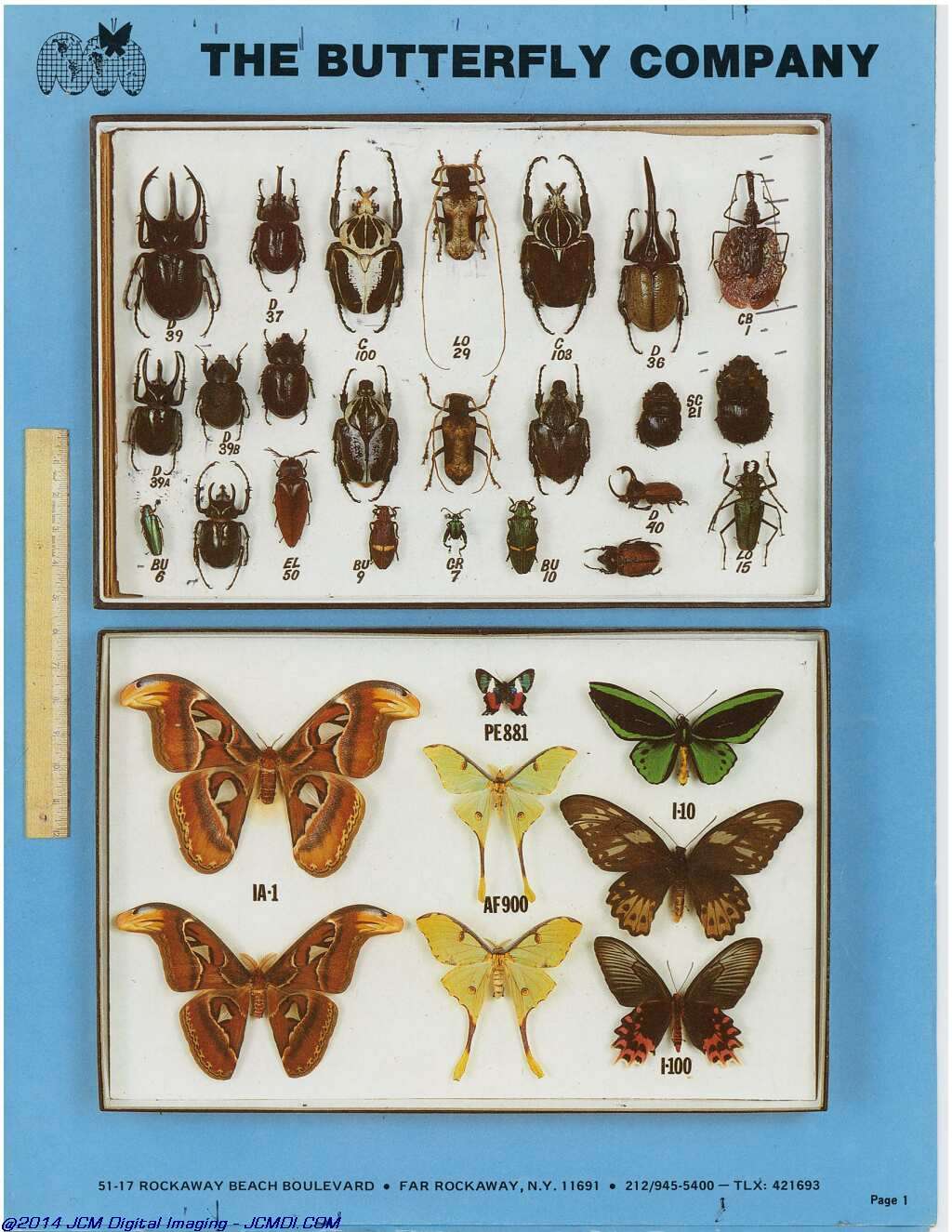 The Butterfly Company (NY) 6 Page catalog (1982)